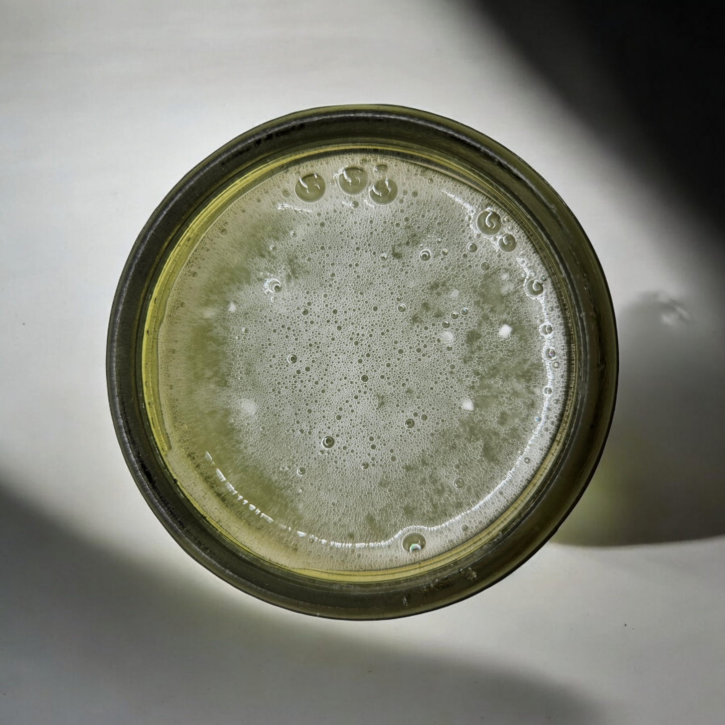 Dead Sea Sculp Scrub| Cactus Bloom