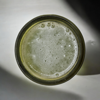 Dead Sea Sculp Scrub| Cactus Bloom