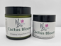 Cactus Scented Pumice Scrub – Exfoliate & Refresh